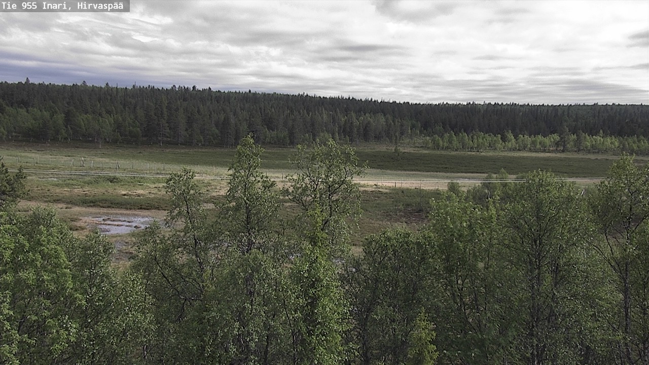 Kelikamerat Kuva Tie 955 Inari, Hirvaspää, Inari, Lappi