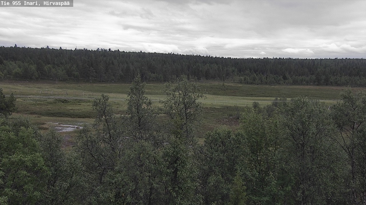 Kelikamerat Kuva Tie 955 Inari, Hirvaspää, Inari, Lappi