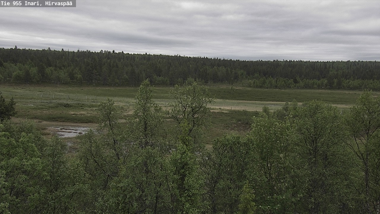 Kelikamerat Kuva Tie 955 Inari, Hirvaspää, Inari, Lappi