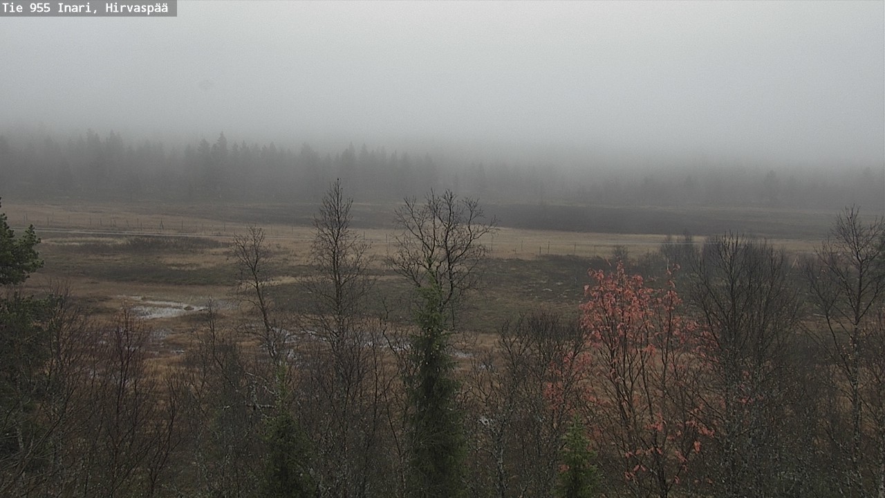 Weather Camera Image Road 955 Inari, Hirvaspää, Inari, Lappi