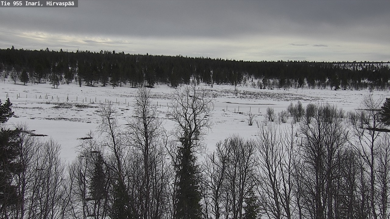 Weather Camera Image Väg 955 Enare, Hirvaspää, Inari, Lappi
