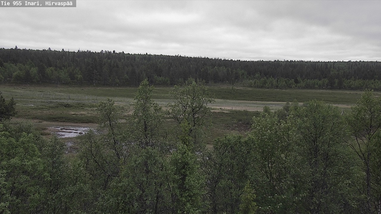 Weather Camera Image Road 955 Inari, Hirvaspää, Inari, Lappi
