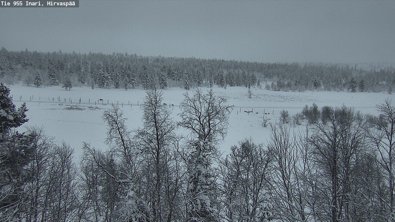 Kelikamerat Kuva Tie 955 Inari, Hirvaspää, Inari, Lappi