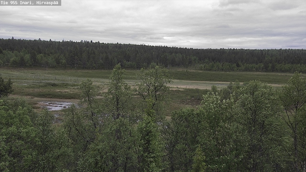 Kelikamerat Kuva Tie 955 Inari, Hirvaspää, Inari, Lappi