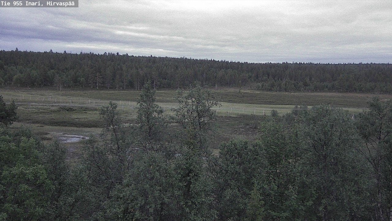Kelikamerat Kuva Tie 955 Inari, Hirvaspää, Inari, Lappi