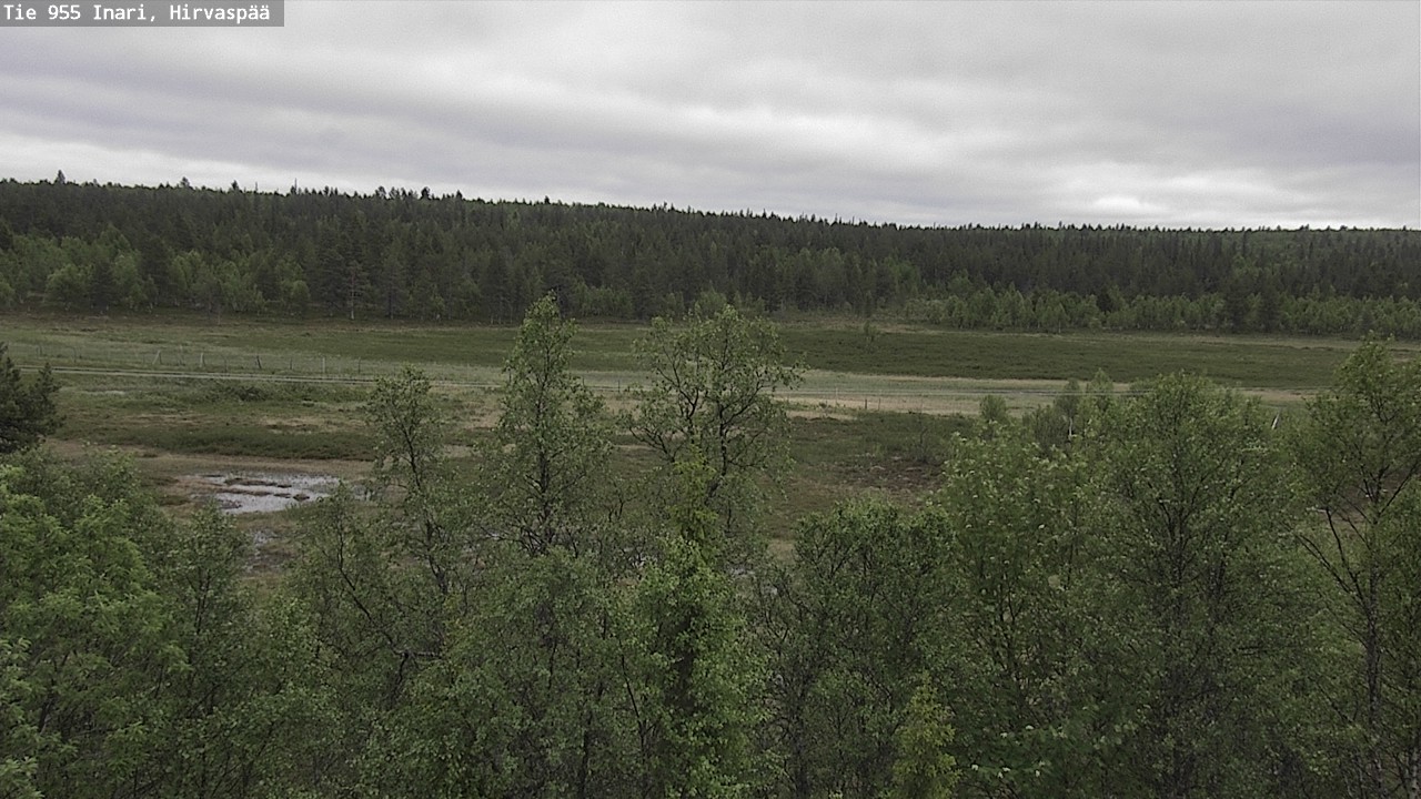 Weather Camera Image Road 955 Inari, Hirvaspää, Inari, Lappi