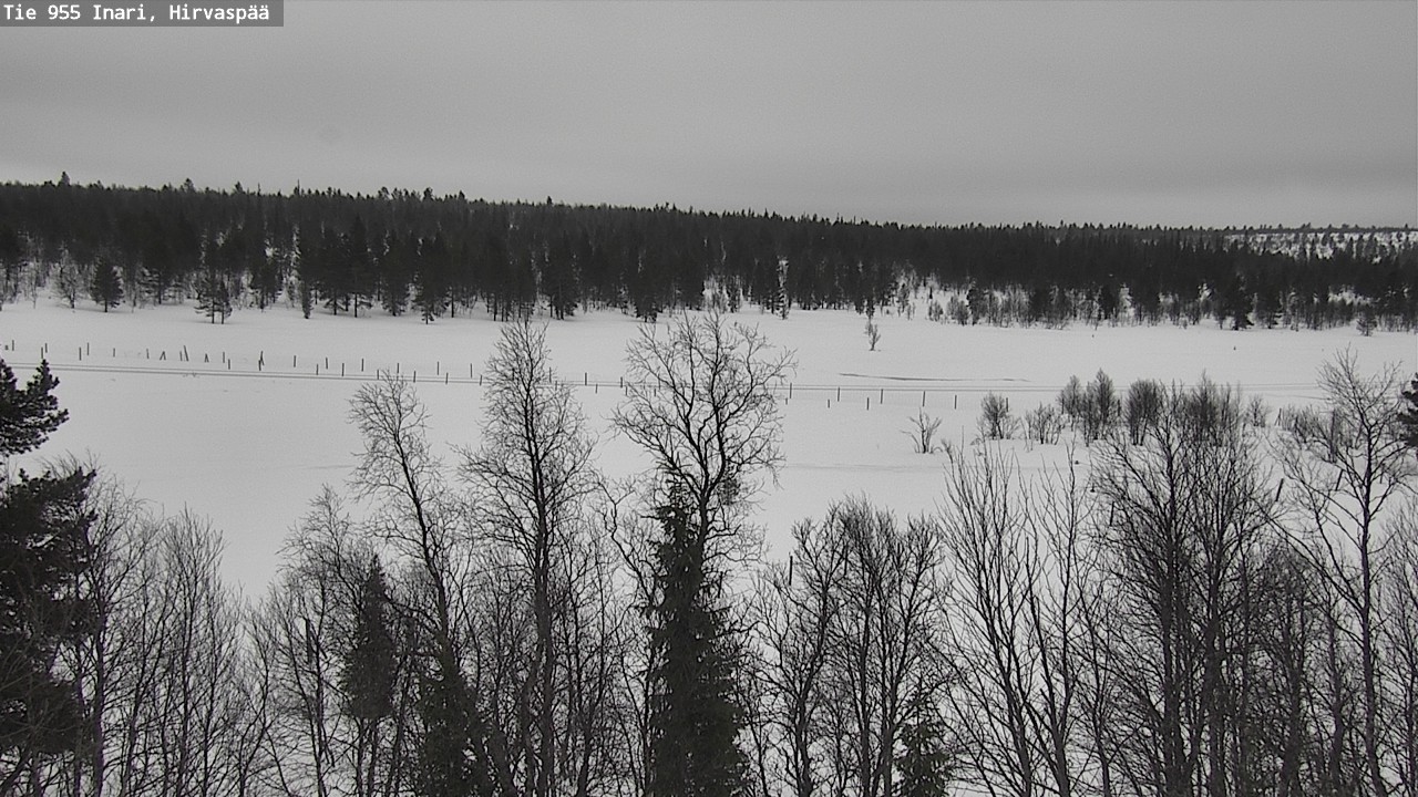 Weather Camera Image Road 955 Inari, Hirvaspää, Inari, Lappi