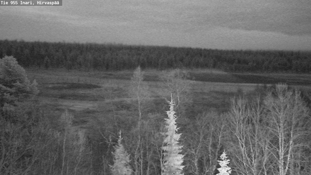 Kelikamerat Kuva Tie 955 Inari, Hirvaspää, Inari, Lappi