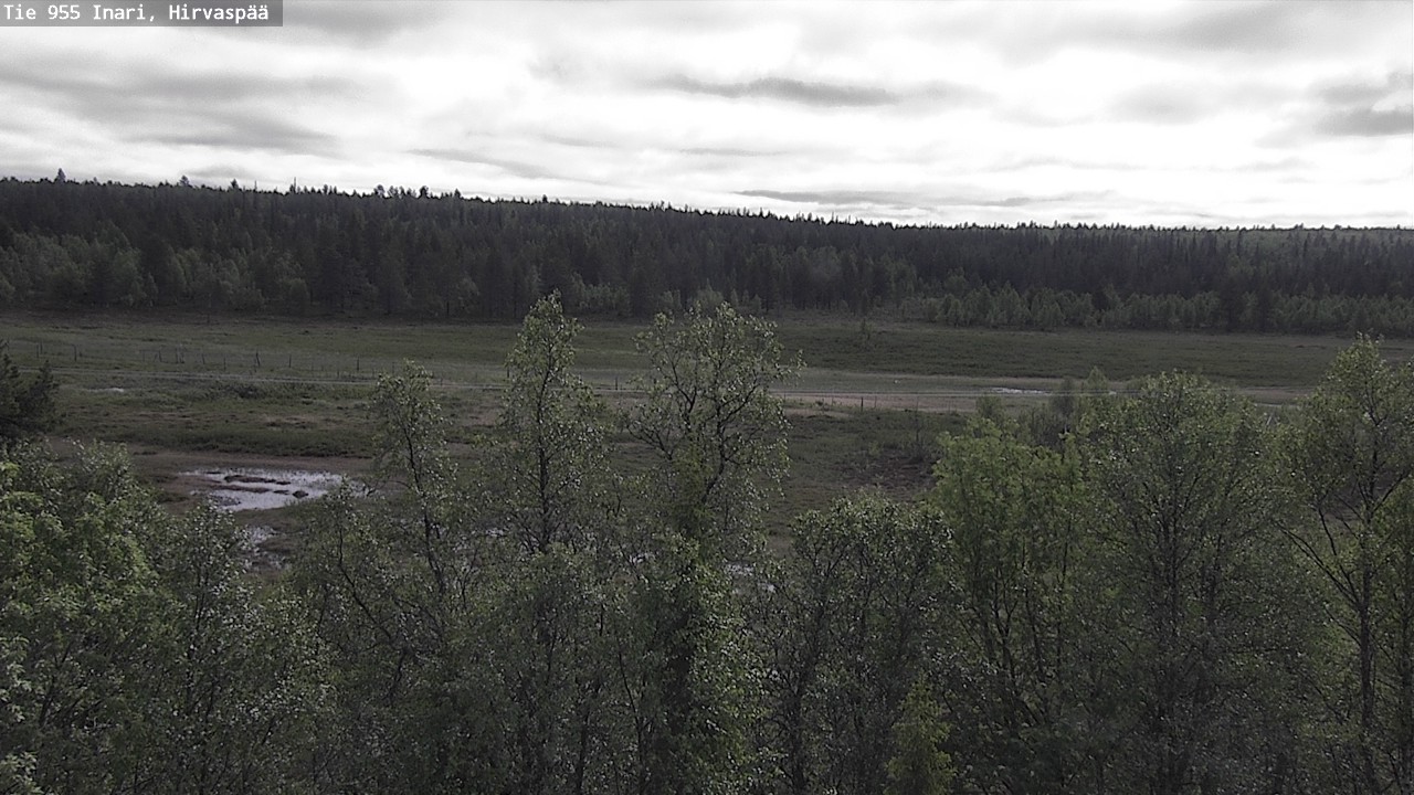 Kelikamerat Kuva Tie 955 Inari, Hirvaspää, Inari, Lappi