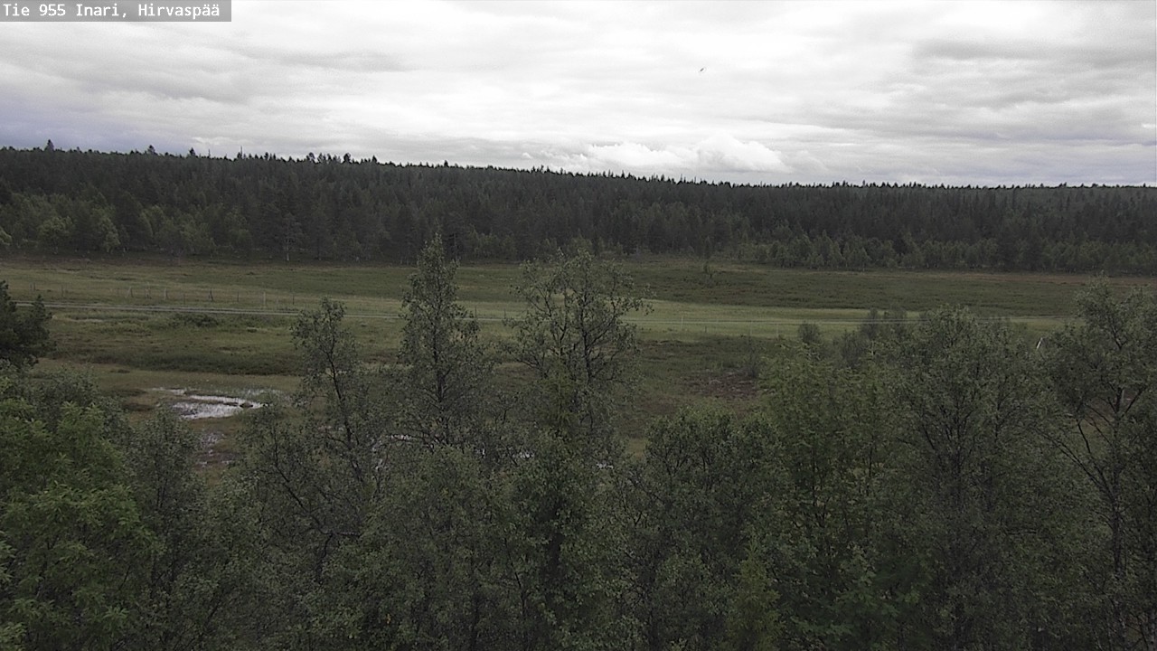 Kelikamerat Kuva Tie 955 Inari, Hirvaspää, Inari, Lappi