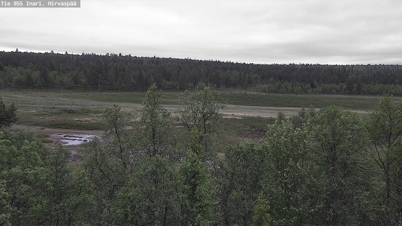 Kelikamerat Kuva Tie 955 Inari, Hirvaspää, Inari, Lappi