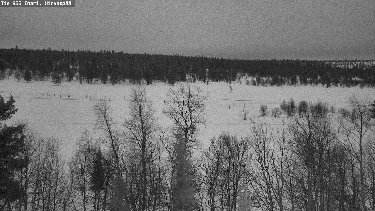 Kelikamerat Kuva Tie 955 Inari, Hirvaspää, Inari, Lappi