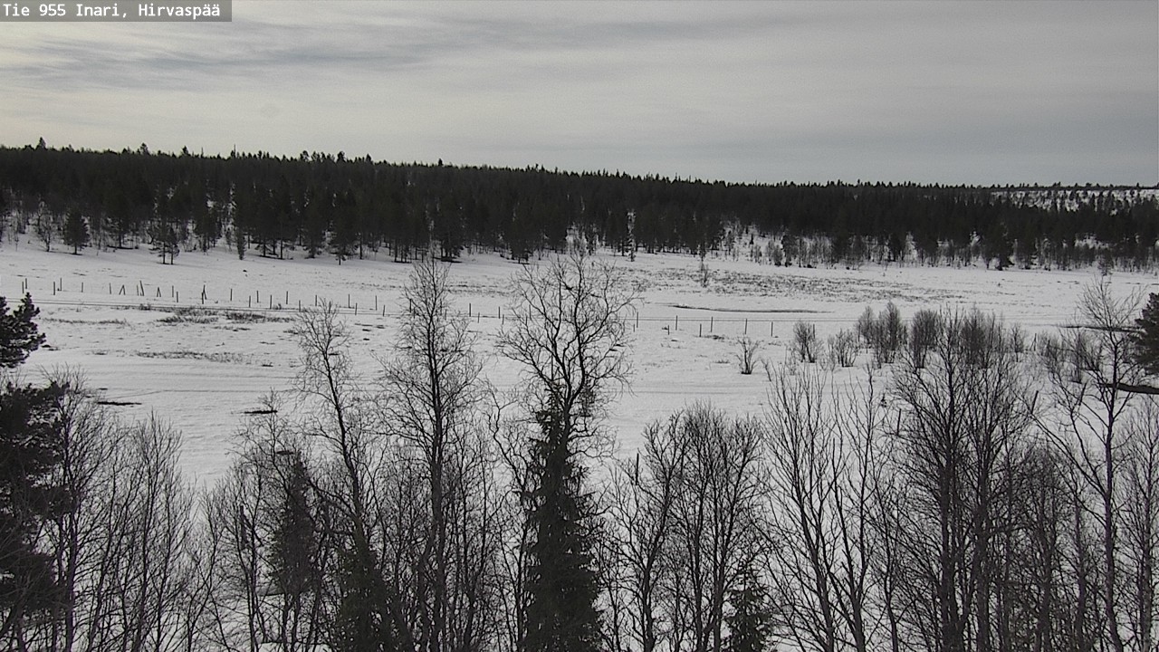 Weather Camera Image Väg 955 Enare, Hirvaspää, Inari, Lappi