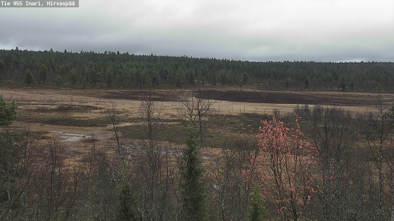 Weather Camera Image Road 955 Inari, Hirvaspää, Inari, Lappi