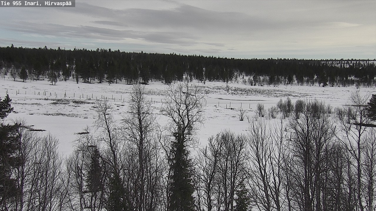 Weather Camera Image Väg 955 Enare, Hirvaspää, Inari, Lappi