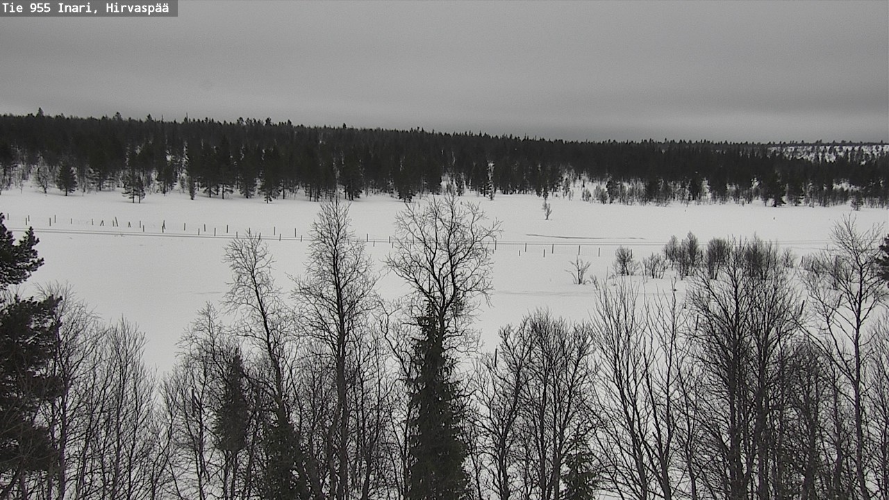 Weather Camera Image Road 955 Inari, Hirvaspää, Inari, Lappi