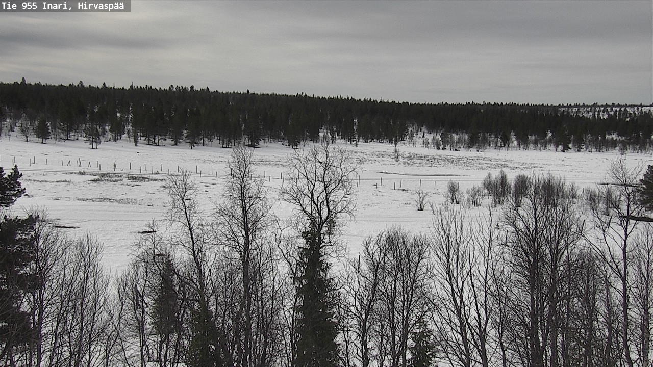 Weather Camera Image Väg 955 Enare, Hirvaspää, Inari, Lappi