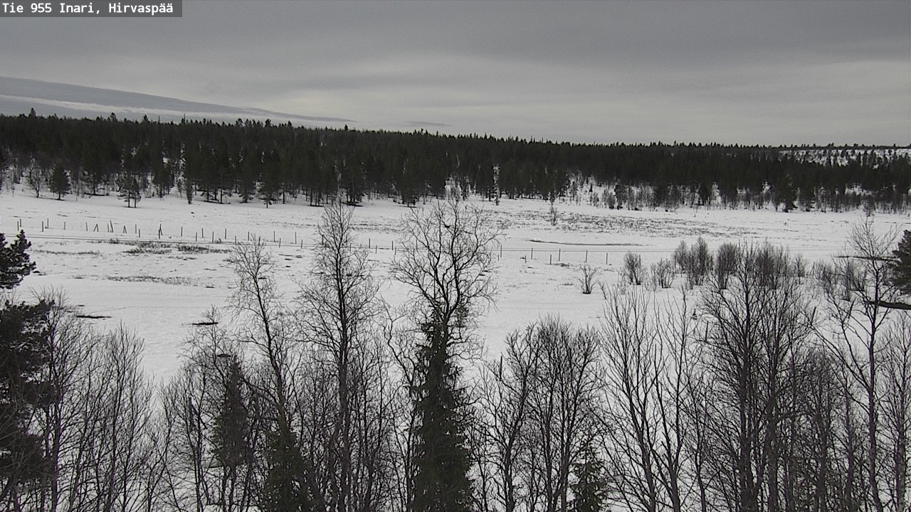 Weather Camera Image Väg 955 Enare, Hirvaspää, Inari, Lappi