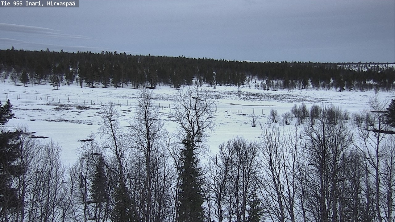 Kelikamerat Kuva Tie 955 Inari, Hirvaspää, Inari, Lappi