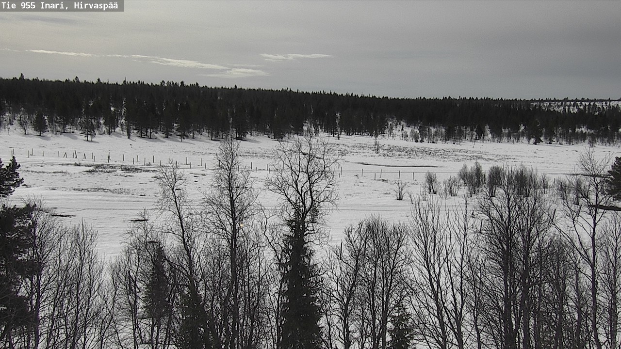 Weather Camera Image Väg 955 Enare, Hirvaspää, Inari, Lappi