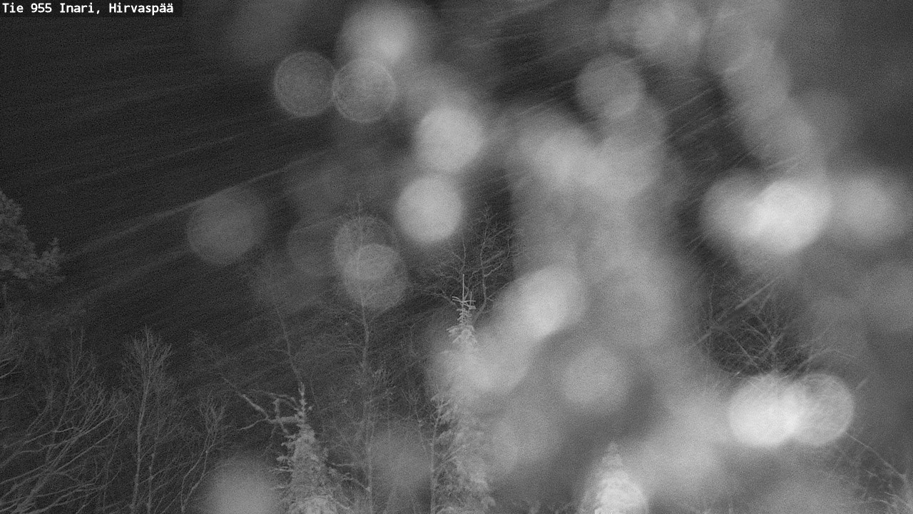 Weather Camera Image Road 955 Inari, Hirvaspää, Inari, Lappi