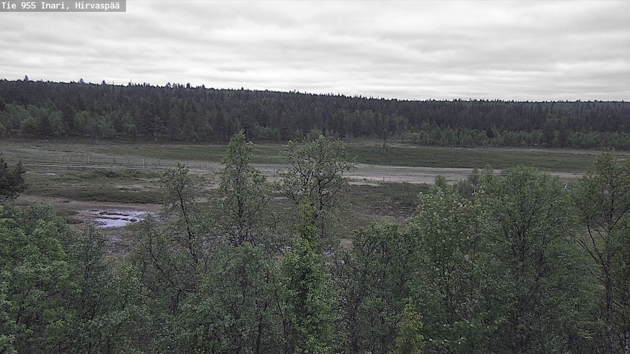Kelikamerat Kuva Tie 955 Inari, Hirvaspää, Inari, Lappi
