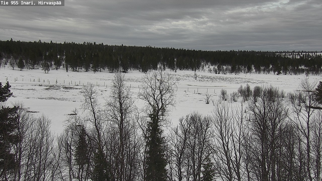 Weather Camera Image Väg 955 Enare, Hirvaspää, Inari, Lappi