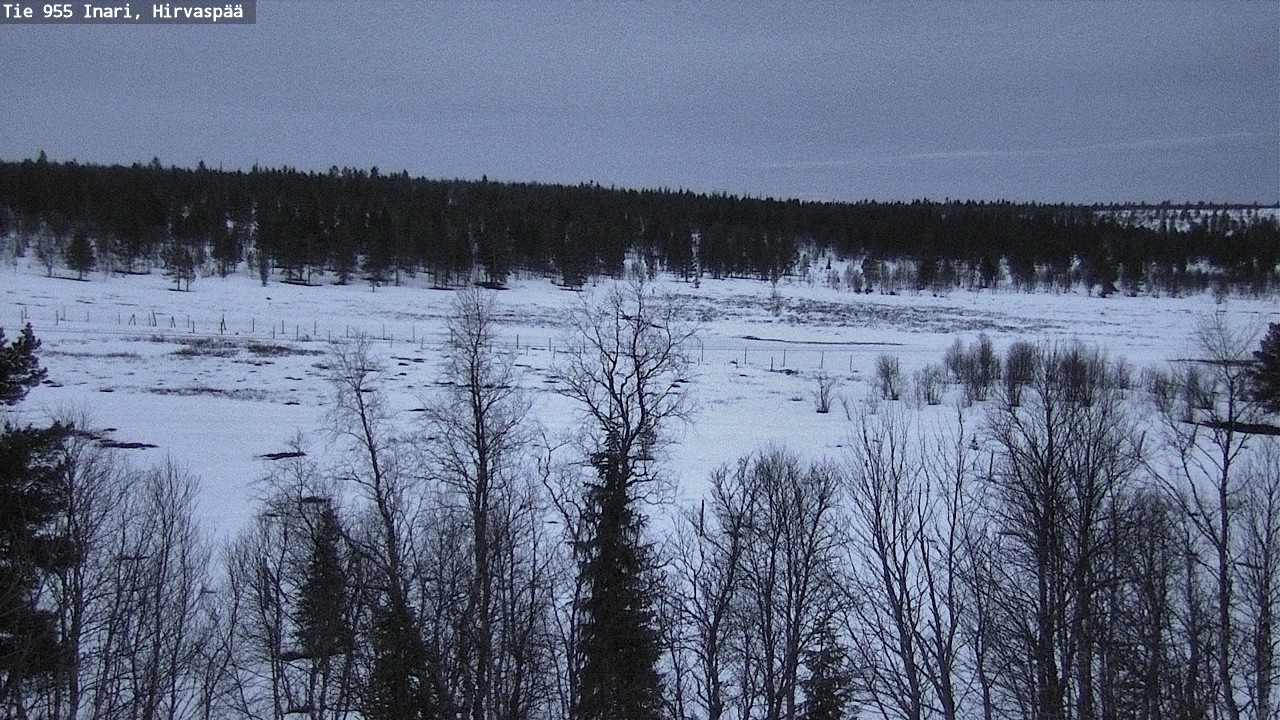 Weather Camera Image Road 955 Inari, Hirvaspää, Inari, Lappi