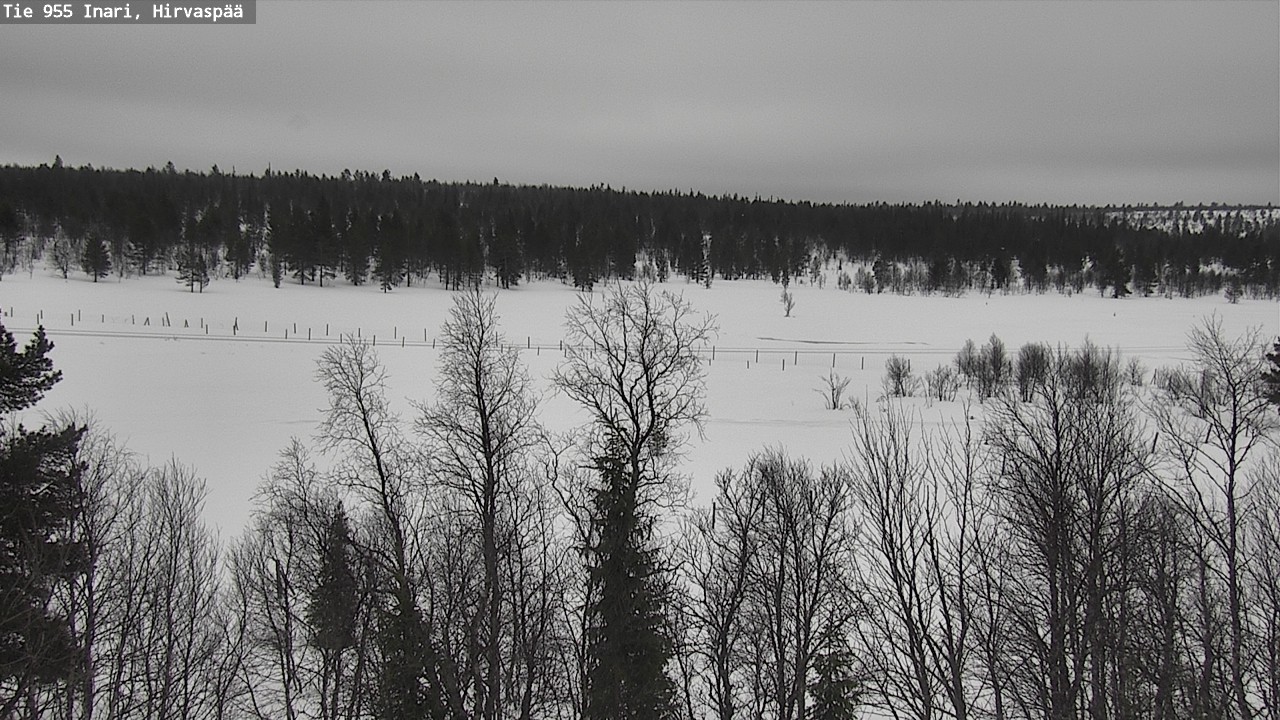 Weather Camera Image Road 955 Inari, Hirvaspää, Inari, Lappi
