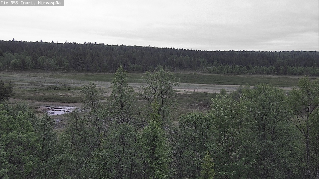 Kelikamerat Kuva Tie 955 Inari, Hirvaspää, Inari, Lappi