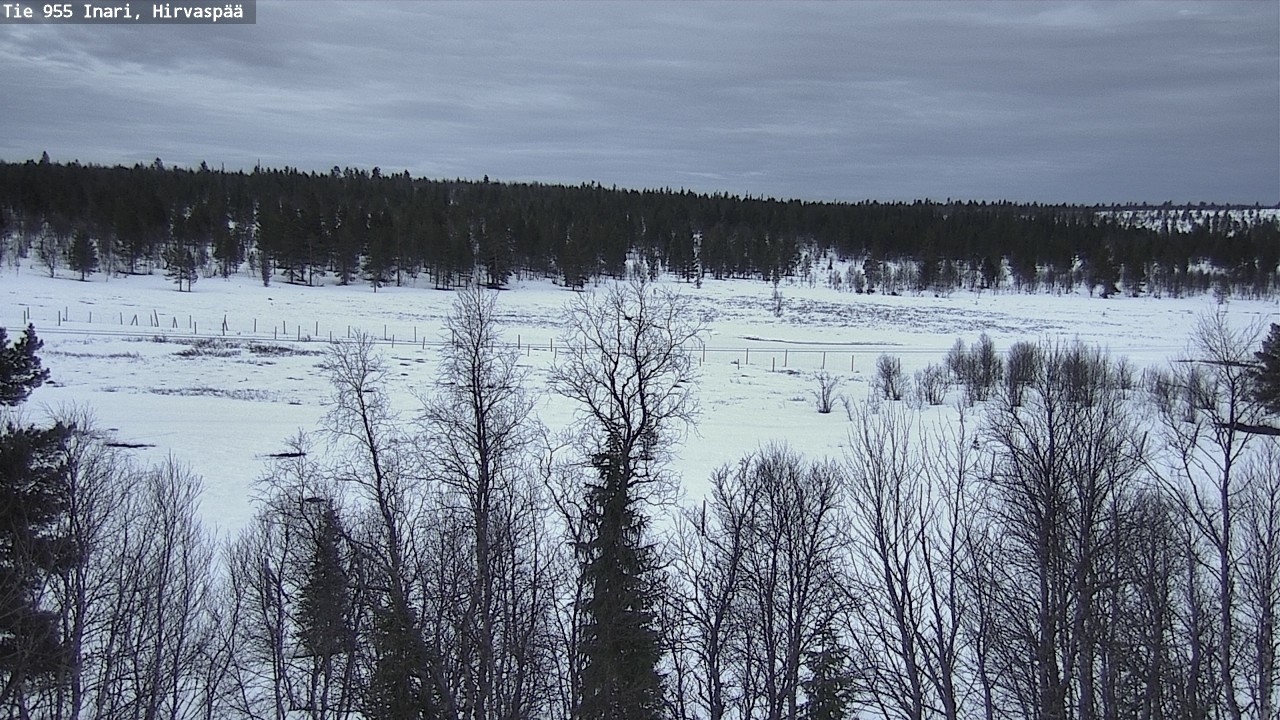 Weather Camera Image Väg 955 Enare, Hirvaspää, Inari, Lappi