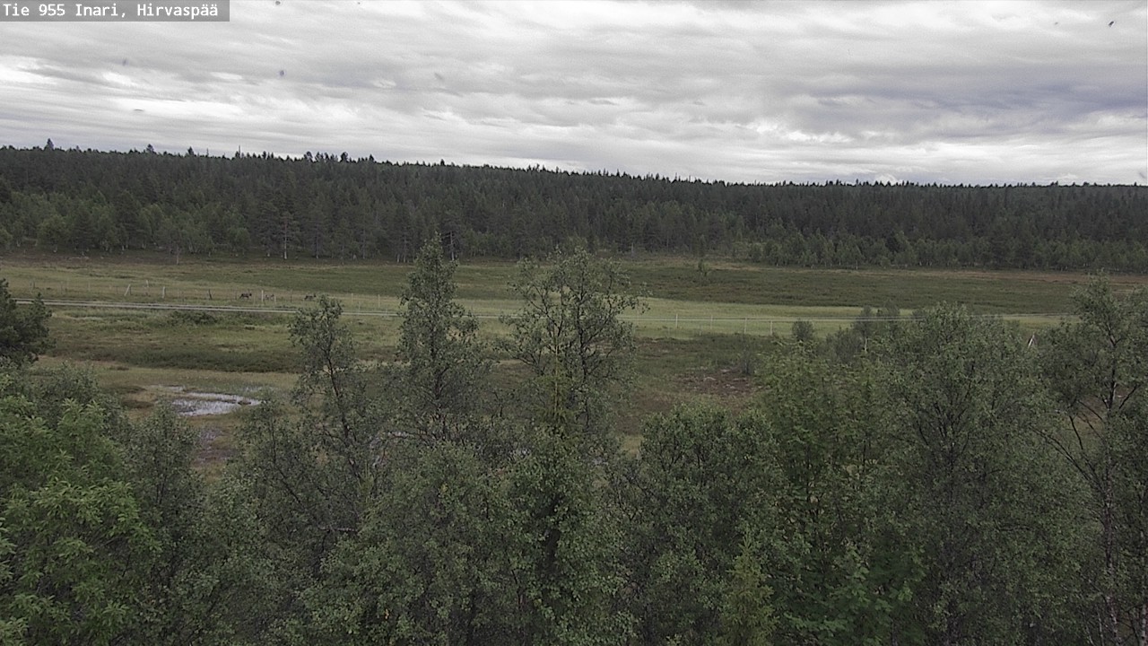 Kelikamerat Kuva Tie 955 Inari, Hirvaspää, Inari, Lappi