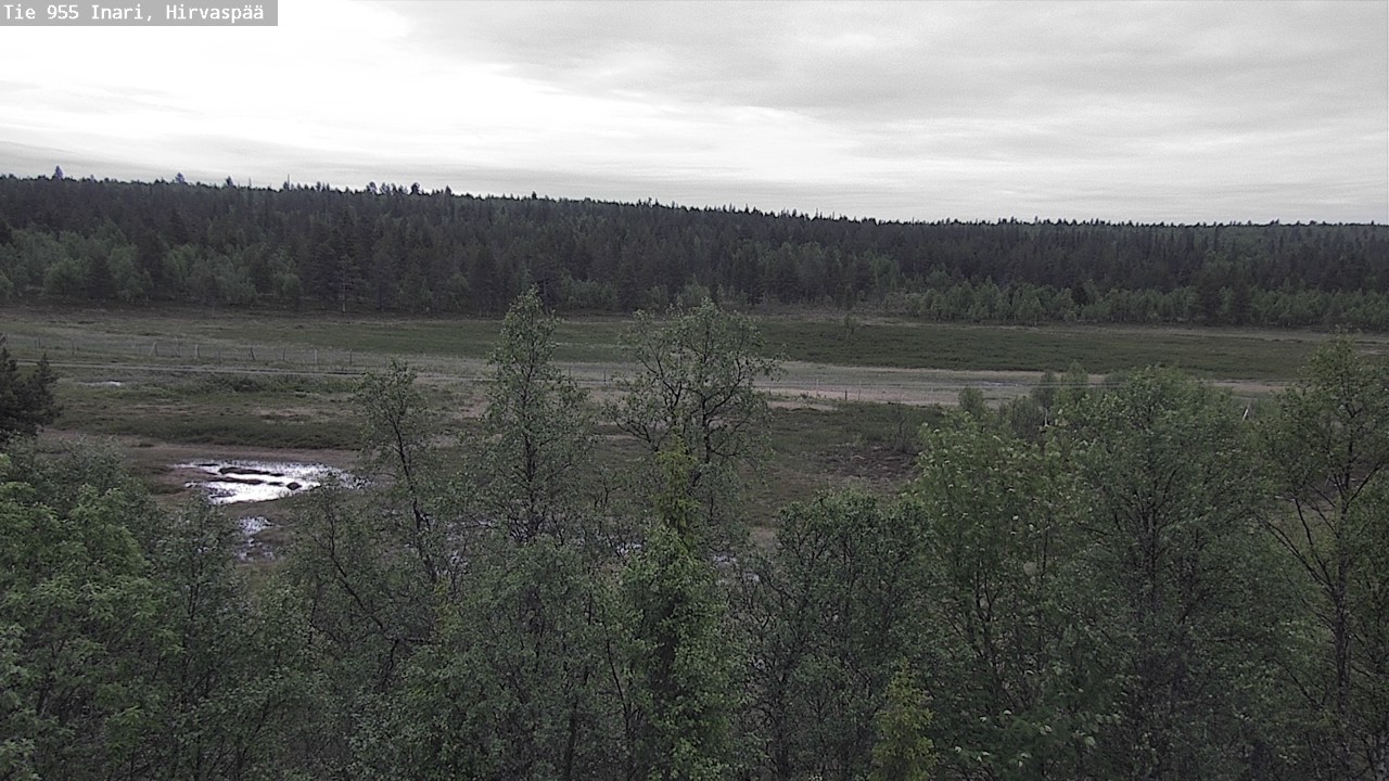 Kelikamerat Kuva Tie 955 Inari, Hirvaspää, Inari, Lappi