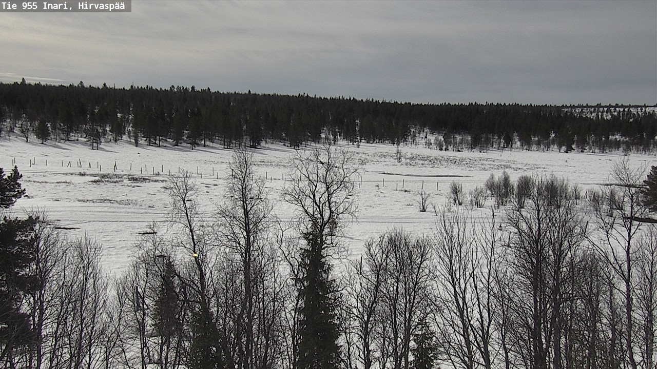Weather Camera Image Väg 955 Enare, Hirvaspää, Inari, Lappi