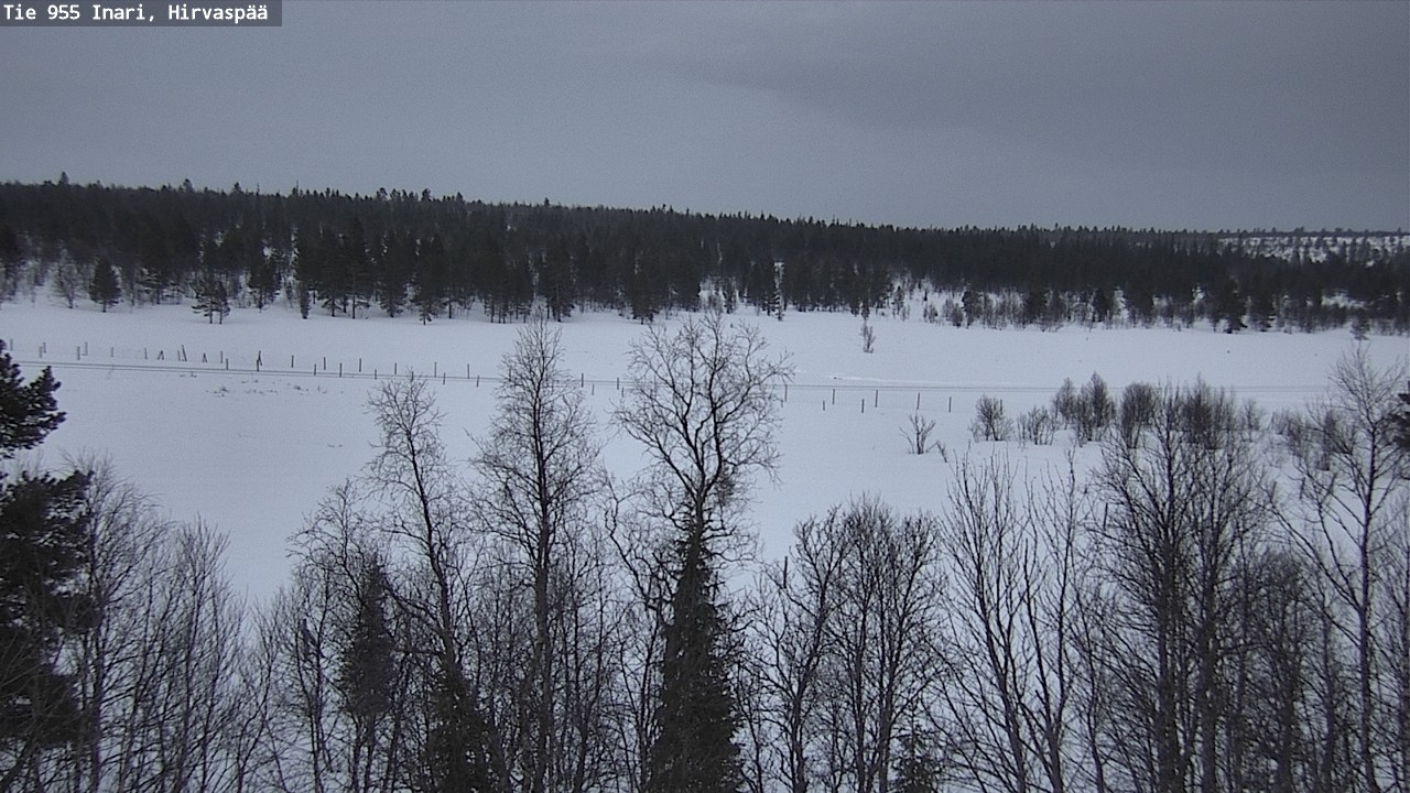 Kelikamerat Kuva Tie 955 Inari, Hirvaspää, Inari, Lappi