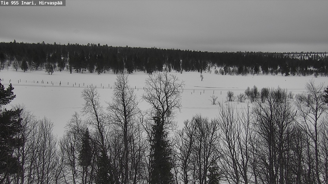 Weather Camera Image Road 955 Inari, Hirvaspää, Inari, Lappi