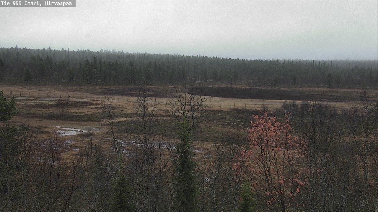 Weather Camera Image Road 955 Inari, Hirvaspää, Inari, Lappi