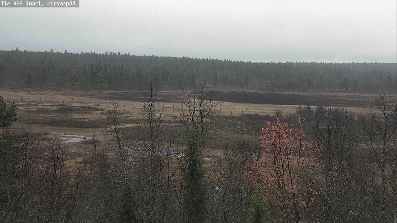 Weather Camera Image Road 955 Inari, Hirvaspää, Inari, Lappi
