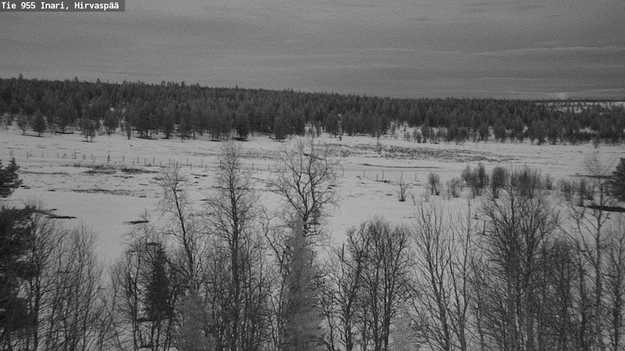 Weather Camera Image Road 955 Inari, Hirvaspää, Inari, Lappi