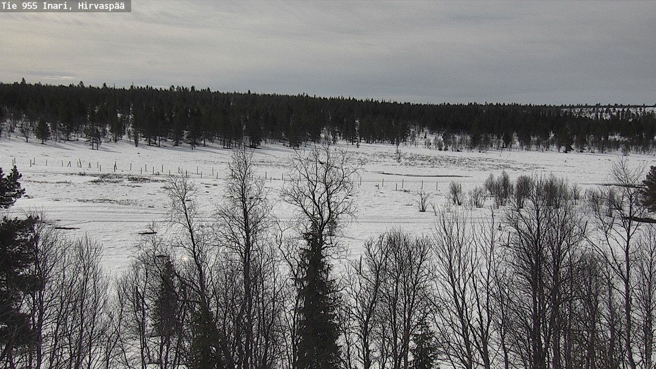 Weather Camera Image Väg 955 Enare, Hirvaspää, Inari, Lappi