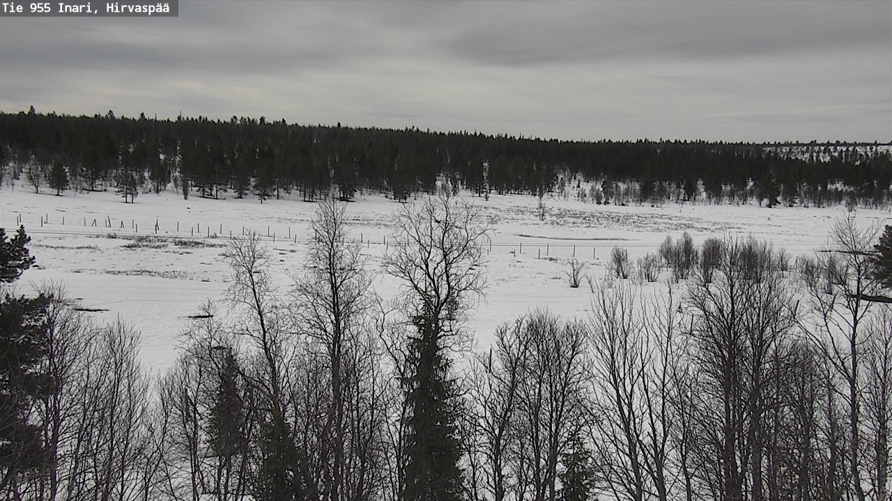 Weather Camera Image Väg 955 Enare, Hirvaspää, Inari, Lappi