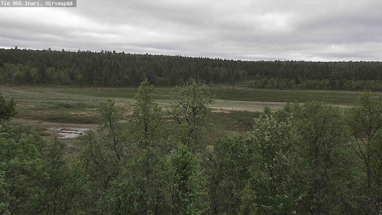 Kelikamerat Kuva Tie 955 Inari, Hirvaspää, Inari, Lappi