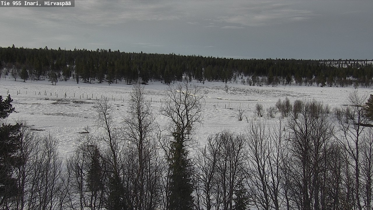 Weather Camera Image Väg 955 Enare, Hirvaspää, Inari, Lappi