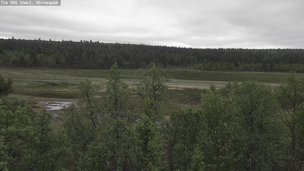 Weather Camera Image Road 955 Inari, Hirvaspää, Inari, Lappi