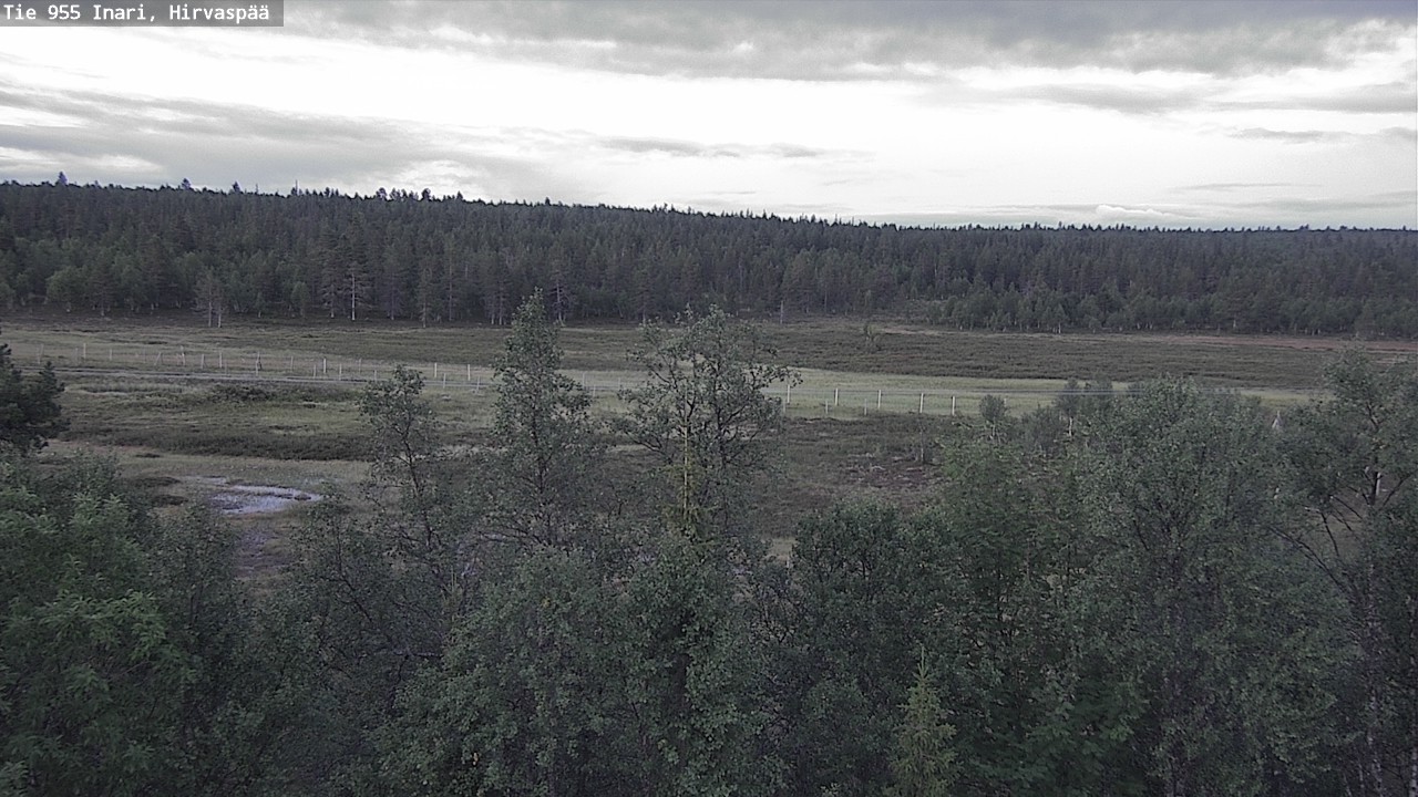 Kelikamerat Kuva Tie 955 Inari, Hirvaspää, Inari, Lappi
