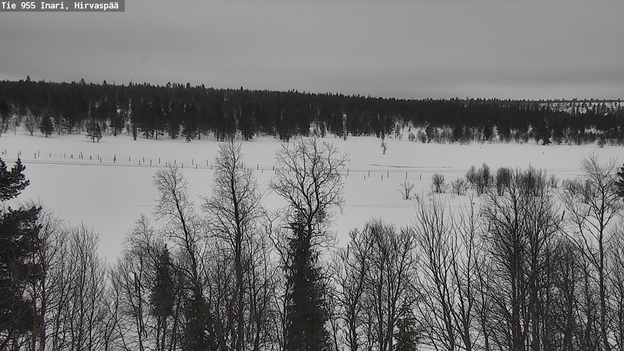 Weather Camera Image Road 955 Inari, Hirvaspää, Inari, Lappi