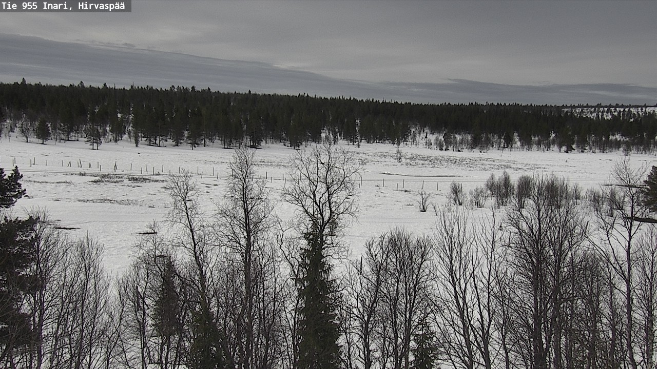 Weather Camera Image Väg 955 Enare, Hirvaspää, Inari, Lappi
