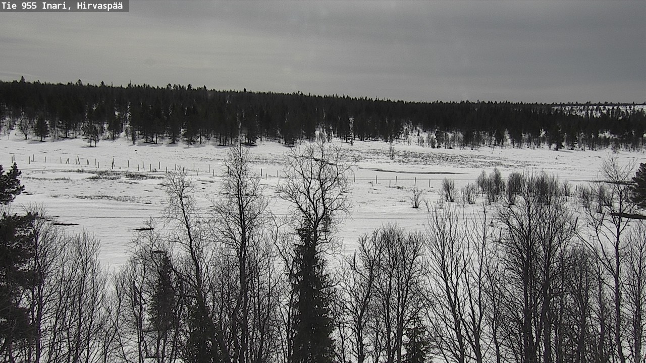Weather Camera Image Väg 955 Enare, Hirvaspää, Inari, Lappi