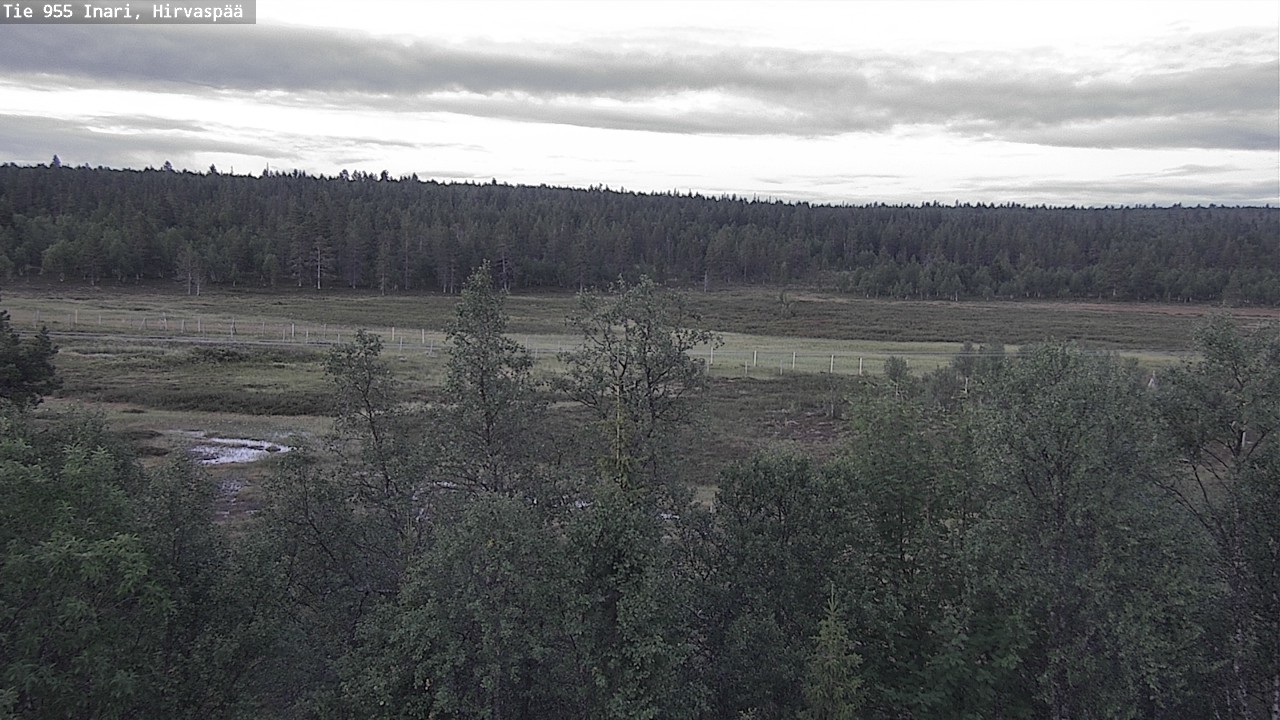 Kelikamerat Kuva Tie 955 Inari, Hirvaspää, Inari, Lappi