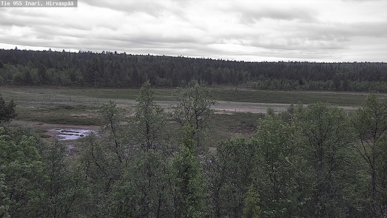 Kelikamerat Kuva Tie 955 Inari, Hirvaspää, Inari, Lappi